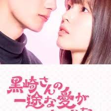黑崎先生停不下来的专一之爱