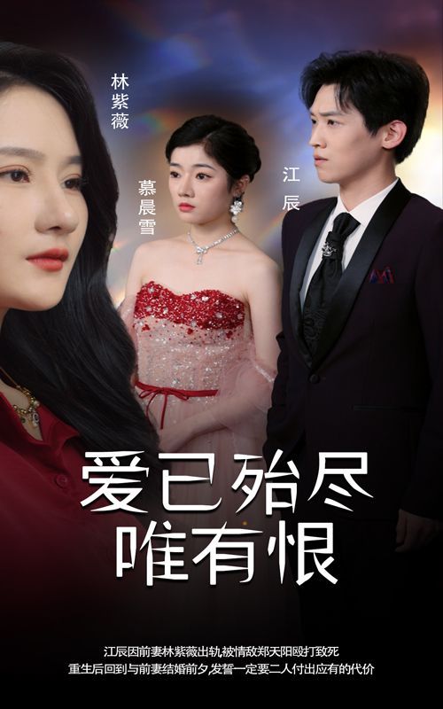 爱已殆尽唯有恨第31-61集(大结局)