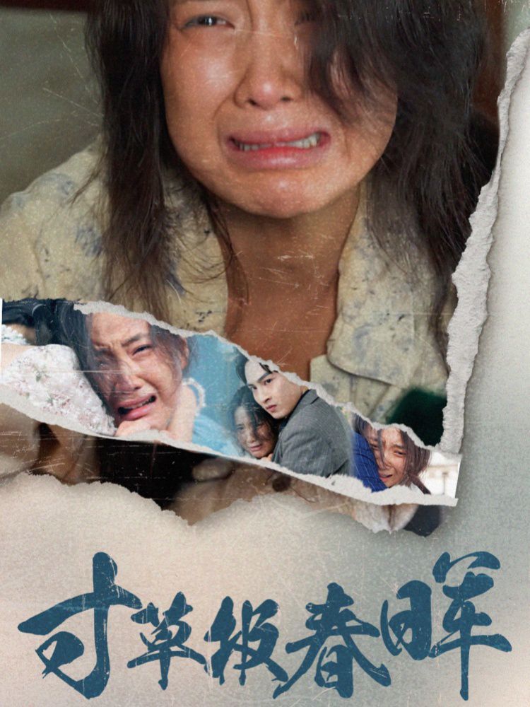 寸草报春晖第31-65集(大结局)