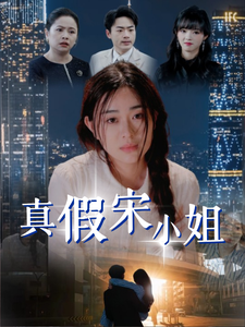 真假宋小姐第31-60集